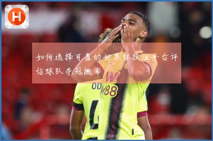 如何选择可靠的世界杯投注平台评估球队夺冠概率